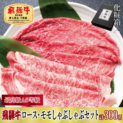 【化粧箱入り・最高級A5等級】飛騨牛ロース・モモしゃぶしゃぶセット計300g【配送不可地域：離島】【1488827】