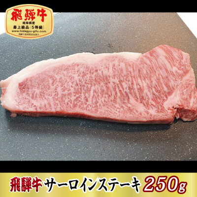 9位! 口コミ数「0件」評価「0」【最高級A5等級】飛騨牛サーロインステーキ250g(牛脂・ステーキソース付き)【配送不可地域：離島】【1488926】