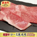 19位! 口コミ数「0件」評価「0」【最高級A5等級】飛騨牛ロース焼肉用300g(牛脂付き)【配送不可地域：離島】【1488953】