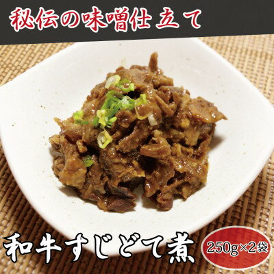 [高木精肉店手作り]和牛すじ どて煮 250g×2袋[配送不可地域:離島]