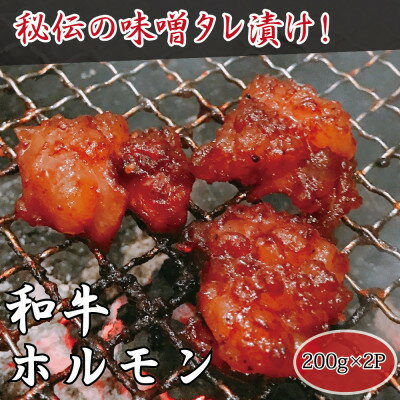 [高木精肉店手作り]秘伝の味噌タレ漬け和牛ホルモン200g×2P[配送不可地域:離島]