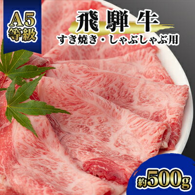 飛騨牛A5等級 モモ・カタ肉スライス 約500g[配送不可地域:離島]