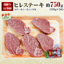 2位! 口コミ数「6件」評価「4.67」飛騨牛A5等級　ヒレステーキ　約750g(150g×5)【配送不可地域：離島】【1125932】