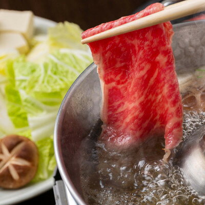 【ふるさと納税】飛騨牛A3・A4等級　モモ・カタ肉 スライス 約500g (すき焼き、しゃぶしゃぶ用)【配送不可地域：離島】【1263501】 f213811-godo-10000410 岐阜県神戸町 サンプル画像3