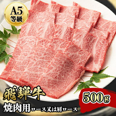 『A5等級』飛騨牛焼肉用500g　ロース又は肩ロース肉【配送不可地域：離島】【1432055】