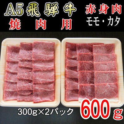 飛騨牛 【ふるさと納税】『A5等級』飛騨牛赤身肉焼肉用600g　モモ又はカタ肉【配送不可地域：離島】【1432069】