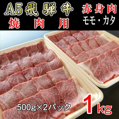 21位! 口コミ数「0件」評価「0」『A5等級』飛騨牛赤身肉焼肉用1kg　モモ又はカタ肉【配送不可地域：離島】【1432070】