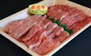 【ふるさと納税】飛騨牛限定2点盛り 計約400g 【お肉・牛...