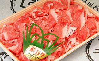 ふるさと納税 その他 飛騨牛切り落とし 約600g お肉 牛肉 すき焼き 牛肉炒め物 岐阜県神戸町 岐阜県神戸町 牛肉 ふるさと納税 その他 飛騨牛切り落とし 約600g お肉 牛肉 すき焼き 牛肉炒め物 岐阜県神戸町 岐阜県神戸町 牛肉