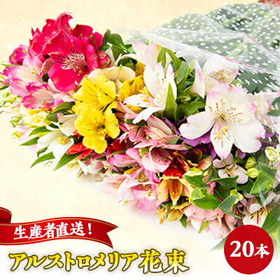 生産者直送!アルストロメリア 花束20本セット【1049956】