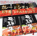 【ふるさと納税】飛騨牛カレー3個・シチュー2個セット
