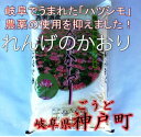 【ふるさと納税】れんげのかおり