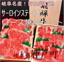 【ふるさと納税】飛騨牛サーロインステーキとロース焼肉セット