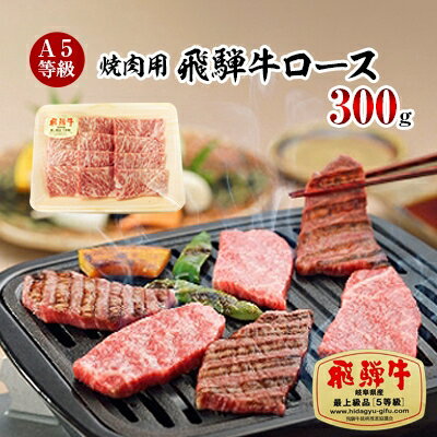 【ふるさと納税】A5等級 飛騨牛ロース焼肉用300g(冷凍)【1132918】