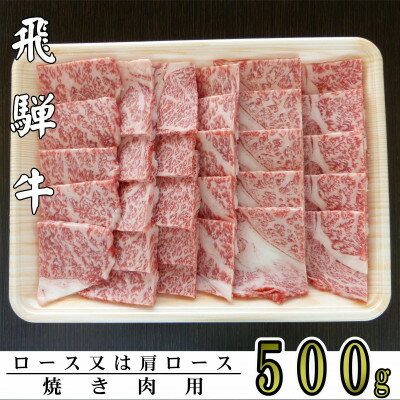 A5ランク飛騨牛焼き肉用500g(ロース又は肩ロース)【配送不可地域：離島】【1307430】