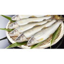 【ふるさと納税】岐阜の鮎 冷凍子持鮎(約1kg:10〜13尾)【配送不可地域:離島】【1617821】