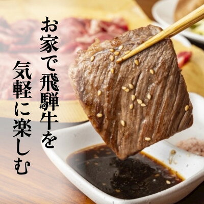 【ふるさと納税】【訳あり】飛騨牛切り落し焼肉用600g【配送不可地域：離島】【1710029】 f213829-wanouchi-10000747 岐阜県輪之内町 サンプル画像3