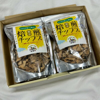【ふるさと納税】【岐阜県輪之内町産】菊芋焙煎チップス(40g×2パック)【1751322】