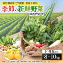 30位! 口コミ数「0件」評価「0」【毎月定期便】【栽培期間中化学肥料・農薬不使用】季節の新鮮野菜の詰め合わせ 全3回【配送不可地域：離島】【4011402】