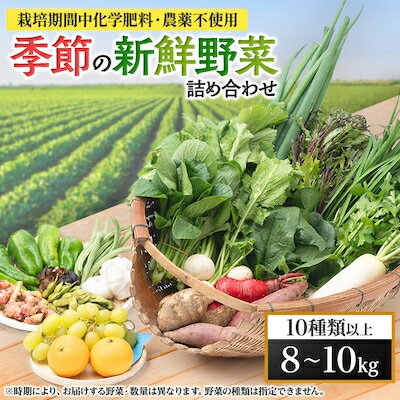 名称 【毎月定期便】【栽培期間中化学肥料・農薬不使用】季節の新鮮野菜の詰め合わせ 全6回 保存方法 冷蔵 発送時期 【1回目】毎月末日までのお支払いで翌月中旬より順次発送【2回目以降】前回の1ヵ月後より順次発送 提供元 インナービューティーダイエット＆農業コラボ事業実行委員会 配達外のエリア 離島 お礼品の特徴 毎月発送の定期便です。 【1回目～6回目】【栽培期間中化学肥料・農薬不使用なので安心・安全】　季節の新鮮野菜の詰め合わせ お礼品の内容について 季節の野菜(10種類以上/8kg～10kg) 内容一例 春……ブロッコリー、玉ねぎ、小松菜、切り干し大根、レタス、春菊、ほうれん草、アイスプラント、いちご 夏……キャベツ、きゅうり、ピーマン、オクラ、なす、トマト、バジル、人参、玉ねぎ、じゃがいも、小玉スイカ 秋……人参、ピーマン、なす、きゅうり、つるな、枝豆、モロヘイヤ、ねぎ、落花生　等 冬……白菜、さつまいも、きゃべつ、ブロッコリー、ねぎ、サラダ菜、ほうれん草、にら、大根、馬鈴薯　等 原産地:すべて岐阜県輪之内町 消費期限 :出荷日+5日 ■注意事項/その他 ※時期により、お届けする野菜は異なります。野菜の種類は指定できません。 ※画像はイメージです。 ■定期便に関するご注意 ※寄付申し込み後に発送時期の変更はできません。 ※寄付先自治体や提供事業者の事情や天候、交通事情その他の事情等により、お礼品の調達および発送に支障が生じた場合には、お届けが遅れることがあります。あらかじめご了承ください。 ※提供元の都合により、年末年始等の長期休業期間を避けて配送することがあります。 ※発送される曜日は、回ごとに変わる場合があります。 ・ふるさと納税よくある質問はこちら ・寄附申込みのキャンセル、返礼品の変更・返品はできません。あらかじめご了承ください。このお礼品は以下の地域にはお届けできません。 ご注意ください。 離島