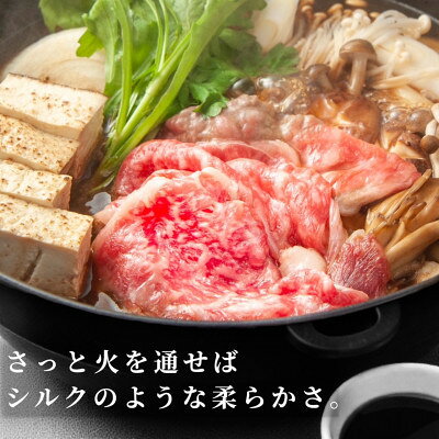 【ふるさと納税】【毎月定期便】飛騨牛【白銀ロース】すき焼き・しゃぶしゃぶ用500g全6回【配送不可地域：離島】【4083285】 f213829-wanouchi-10000763 岐阜県輪之内町 サンプル画像3