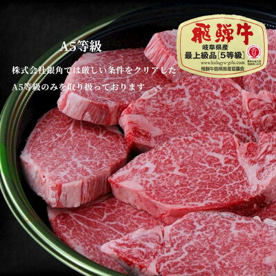 【ふるさと納税】【毎月定期便】厚切り【飛騨牛】サーロインステーキ500g(250g×2枚)全12回【配送不可地域：離島】【4083372】