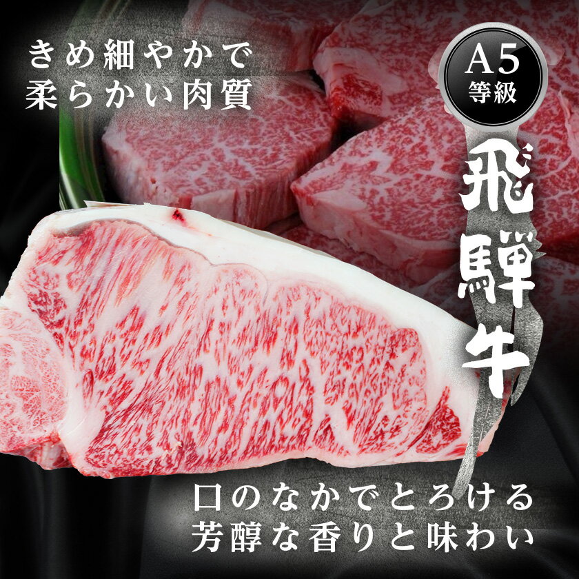【ふるさと納税】飛騨牛【白銀ロース】すき焼き・しゃぶしゃぶ用500g【配送不可地域：離島】【1681890】