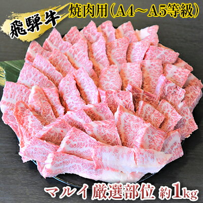 飛騨牛焼肉用（A4～A5等級）マルイ厳選部位約1kg（約500g×2）　【お肉・牛肉・焼肉・バーベキュー・飛騨牛・焼肉用・1kg】