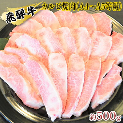 飛騨牛 【ふるさと納税】飛騨牛カルビ焼肉（A4～A5等級）約500g（約250g×2パック）　【お肉・牛肉・焼肉・バーベキュー・飛騨牛・カルビ・500g】