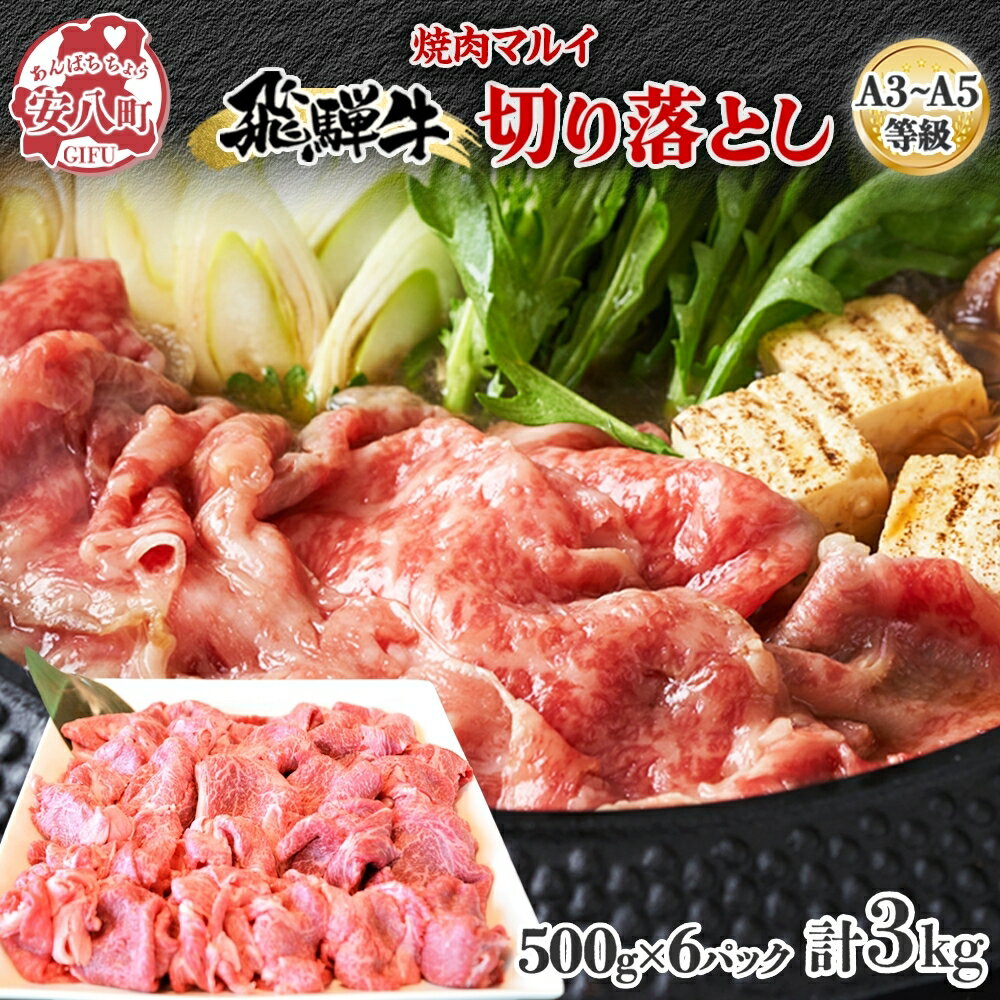 【ふるさと納税】飛騨牛切り落とし約3kg（約500g×6パッ