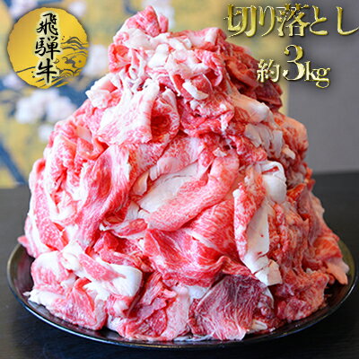 飛騨牛切り落とし約3kg（約500g×6パック）　【お肉・牛肉・飛騨牛・切り落とし・約3kg】