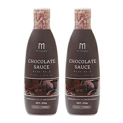 チョコレートソース　310g　2本セット　【調味料・スイーツ・お菓子・チョコレート・チョコレートソース】