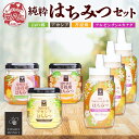 【ふるさと納税】国産はちみつ 120g 3本入り アルゼンチン&カナダ産はちみつ 720g 3本入り 山の郷 アカシア 菩提樹 国産 純粋はちみつ ギフト ハニー honey ハチミツ パン 菓子 調味料 常温 常備 お取り寄せ 日新蜂蜜 送料無料 岐阜県 安八町