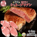 【ふるさと納税】飛騨牛 シャトーブリアン ステーキ 約800g 4〜6枚切り 肉 牛肉 和牛 ブランド牛 お肉 ビーフ ヒレ 希少部位 赤身 贅沢 国産 お取り...