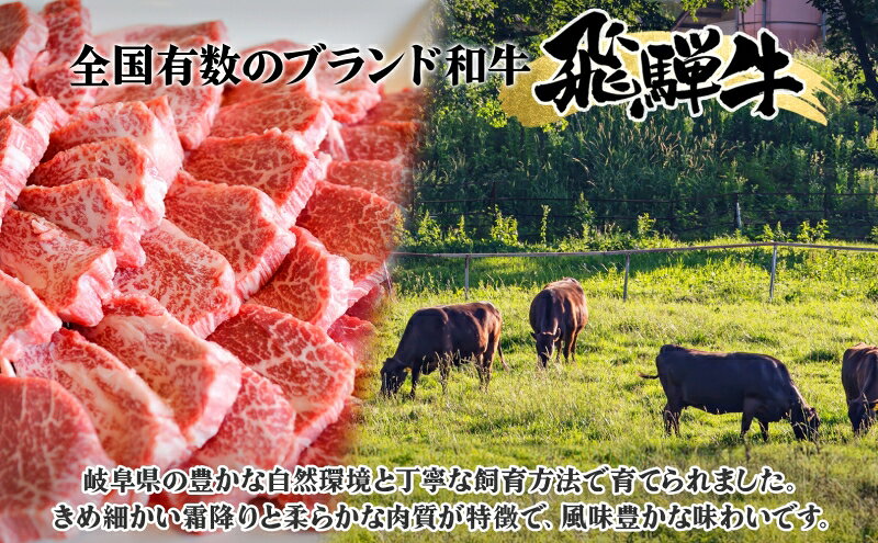 【ふるさと納税】焼肉マルイ 飛騨牛 もも肉 1kg 焼肉 ローストビーフ タレ付き A4～A5等級 和牛 国産 国産牛 牛 牛肉 モモ肉 鉄板焼き カレー シチュー 冷蔵 冷蔵保存 日本産 ブランド和牛 A5ランク A4ランク お取り寄せグルメ 送料無料 岐阜県 安八町 f213837-anpachi-10000211 岐阜県安八町 サンプル画像3