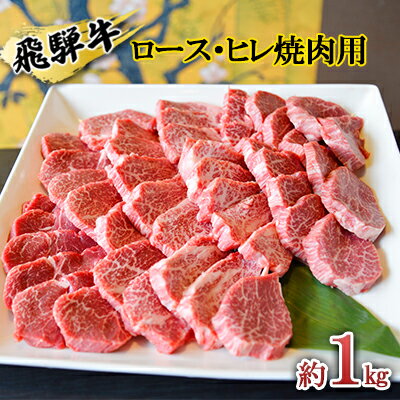 飛騨牛 【ふるさと納税】飛騨牛　赤身メイン焼肉用　A4～A5等級使用　マルイおまかせ約1kg（500g×2p）　【お肉・牛肉・焼肉・バーベキュー・飛騨牛・赤身・焼肉用・1kg】