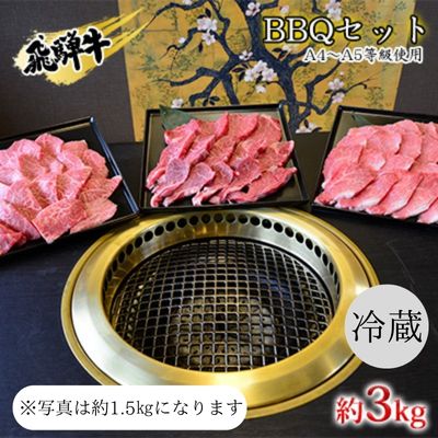 飛騨牛　BBQセット　約3kg　A4～A5等級使用　【 お肉 牛肉 国産 お家焼肉 バーベキュー カルビ 赤身 柔らかい モモ 霜降り 牛肉の女王様 ヒレ肉 旨味 真空パック 冷蔵 タレ付き 】