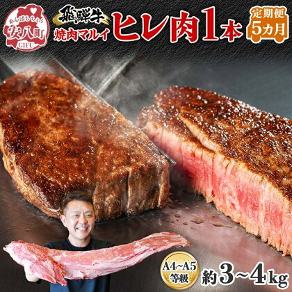 飛騨牛ヒレ肉1本5ヵ月定期便約3～4kg（ヒレブロック肉シャトーブリアン）3割×5　【定期便・ お肉 牛肉 国産 お家焼肉 ブランド和牛 希少部位 牛肉の女王様 きめ細やか 柔らかい 脂肪少ない 真空パック 冷蔵 】