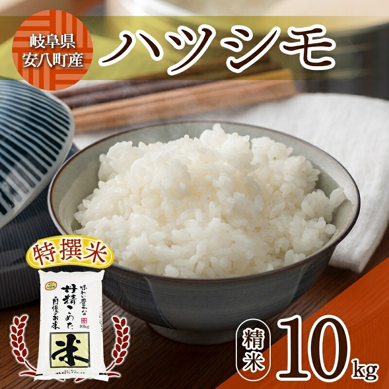 【ふるさと納税】 安八町産 ハツシモ (ぎふクリーン米)10kg 令和5年産【精米】白米　【 お米 ライス ...