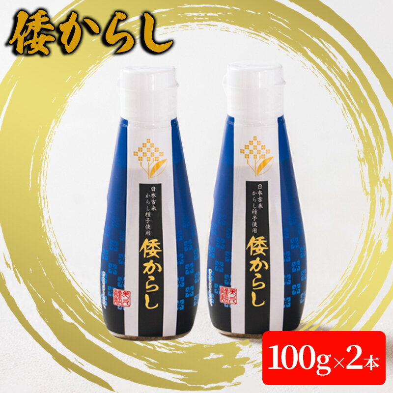 23位! 口コミ数「0件」評価「0」倭からし　100g　2本　【 調味料 辛味 さわやか 風味 和牛 ステーキ 鉄板焼き 肉料理 薬味 季節 野菜 和え物 浅漬 伝統 歴史 】