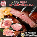 【ふるさと納税】飛騨牛 ロース 食べつくし 約1.2kg ステーキ 薄切り 焼肉用 各約400g A4ランク A5ランク お肉 牛肉 和牛 国産 ブランド牛 お...