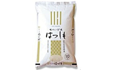 【ふるさと納税】揖斐郡産 味のいび米はつしも精米10kg×3袋 【お米】