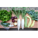 【ふるさと納税】自然栽培 季節のおまかせ野菜セット(固定種・...