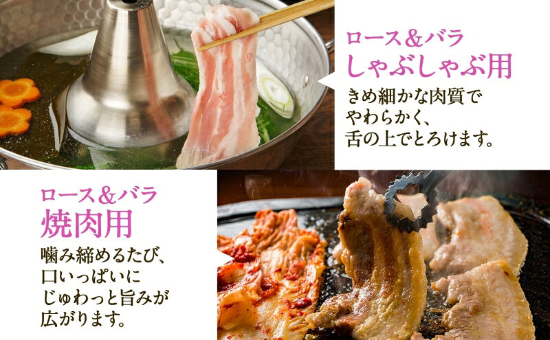 【ふるさと納税】Takahashi Farmの豚肉 まんぷく3kgセット 豚ロース 3種 豚バラ3種 各500g 岐阜県産 精肉 豚肉 しゃぶしゃぶ 焼肉 とんかつ ステーキ バラスライス 国産 豚 ブタ ぶた ポーク 料理 人気 お取り寄せ ご褒美 自家用 ギフト 送料無料 岐阜県 揖斐川町 f214019-ibigawa-10000022 岐阜県揖斐川町 サンプル画像3