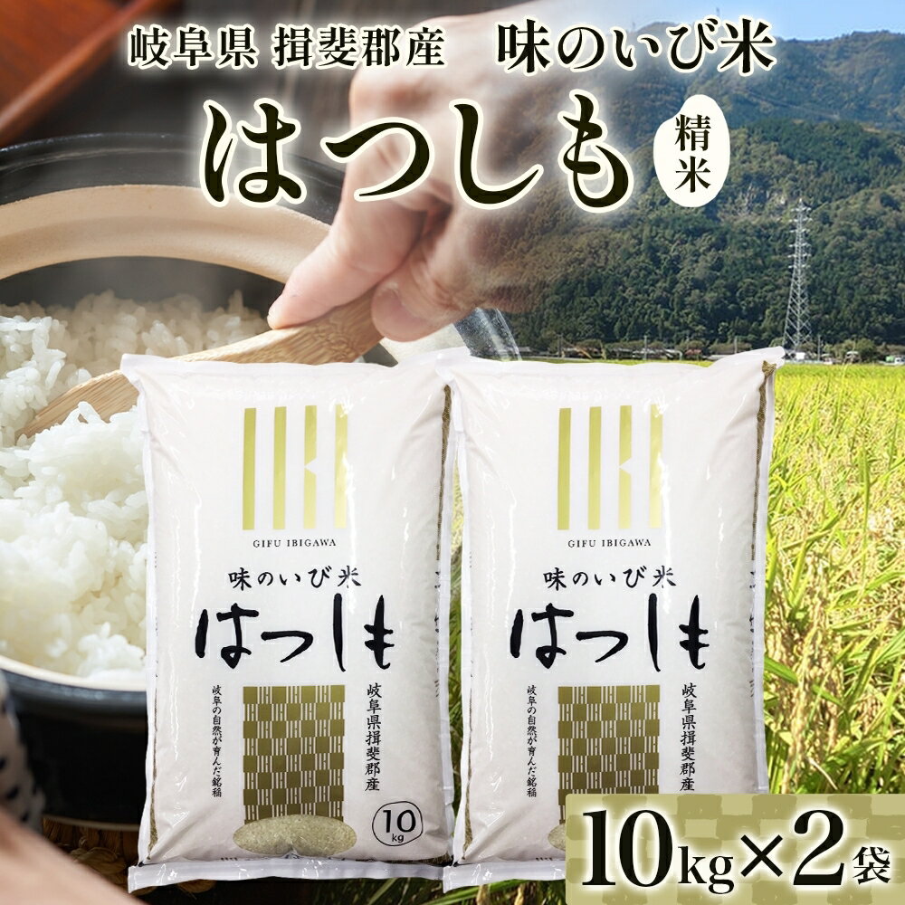 【ふるさと納税】揖斐郡産 味のいび米はつしも精米10kg×2