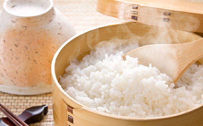 【ふるさと納税】揖斐郡産　味のいび米はつしも精米10kg　【お米】