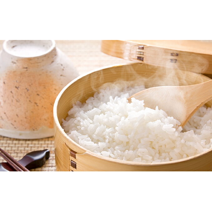 【ふるさと納税】揖斐郡産　味のいび米はつしも精米10kg　【