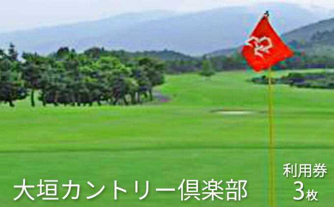 【ふるさと納税】大垣カントリー倶楽部利用券（1000円券×3枚） ゴルフ場利用権 チケット スポーツ
