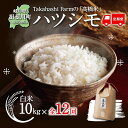 9位! 口コミ数「0件」評価「0」高橋米（揖斐川町産はつしも）12ヶ月定期便　【定期便・お米】