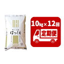 10位! 口コミ数「0件」評価「0」定期便　揖斐郡産 味のいび米はつしも精米10kg×12ヶ月　【定期便・お米】